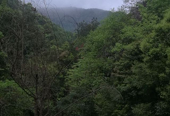 淡竹休闲谷第 10 张图片
