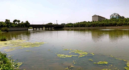 留仙湖公园第 6 张图片