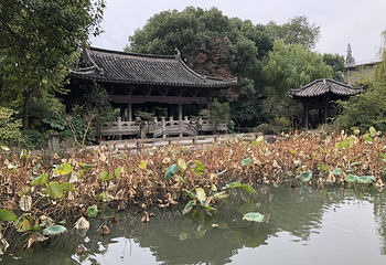 沈园第 118 张图片