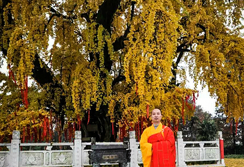 惠济寺第 17 张图片
