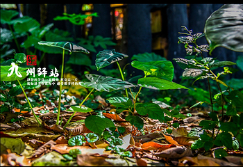 英德天门沟景区第 48 张图片
