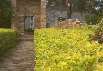 大芦村民俗风情旅游区第 35 张图片