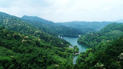 阳明山国家森林公园第 14 张图片