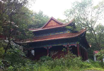 西平森林公园第 5 张图片