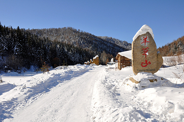 雪乡狗熊岭景区第 23 张图片