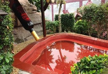 祥喜汤御庄园温泉度假村第 28 张图片