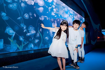 海合安成都极地海洋公园第 25 张图片