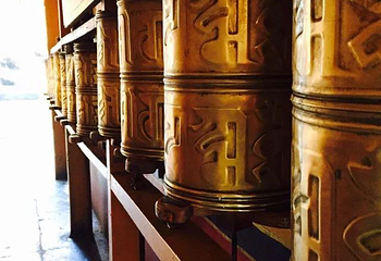 仓姑寺第 13 张图片