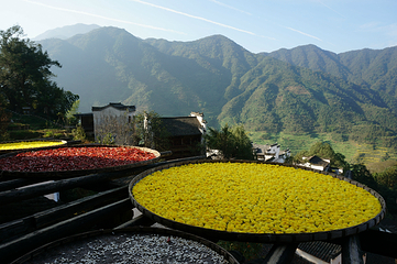婺源石门峡山野秘境第 44 张图片