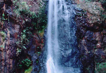 马峦山郊野公园第 25 张图片