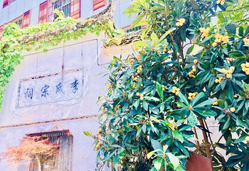景宁中国畲乡之窗景区第 23 张图片