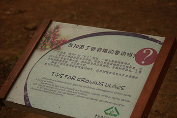 国家植物园南园第 34 张图片
