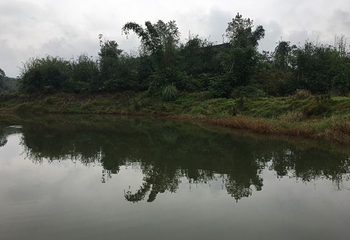 龙水湖旅游度假区第 54 张图片