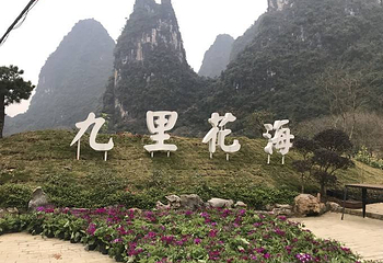 九里花海第 4 张图片