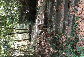 碧龙潭景区第 11 张图片