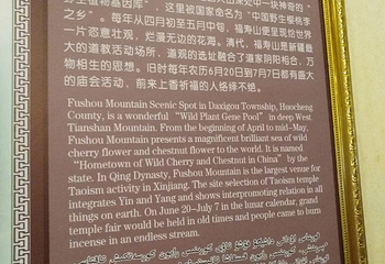 中华福寿山景区第 15 张图片