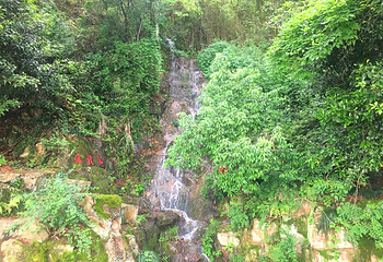 龙山岛第 20 张图片
