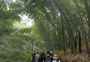 上青古道第 12 张图片