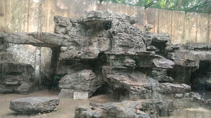 柳州动物园第 17 张图片