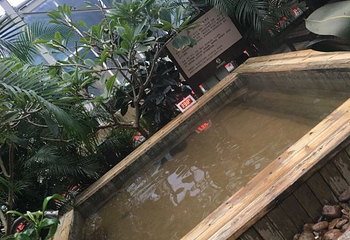 宗裕金汤水世界第 28 张图片