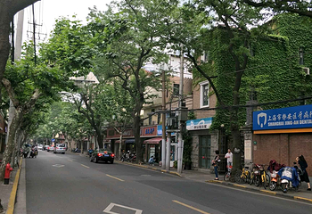 愚园路历史文化风貌区第 41 张图片