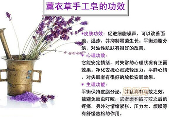 汉家公主薰衣草园第 6 张图片