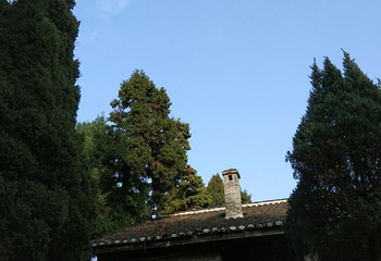 薤山国家森林公园第 22 张图片