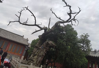泰山风景名胜区-碧霞祠第 5 张图片