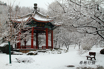 香山公园第 60 张图片