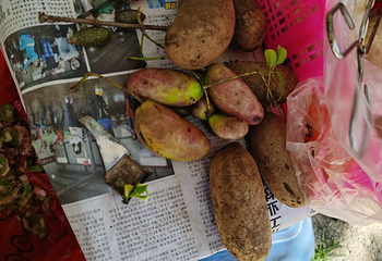 九路寨生态旅游区第 71 张图片