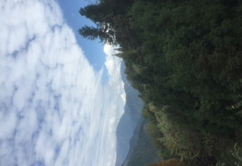 川西红枫岭第 65 张图片