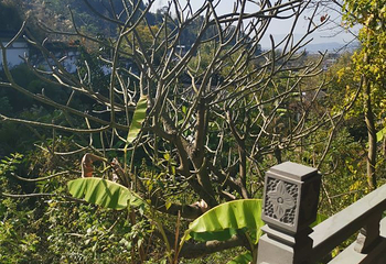 荷花温泉第 58 张图片