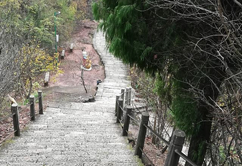 赤城山第 33 张图片
