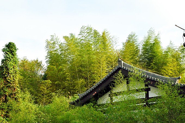 梓路寺景区第 27 张图片