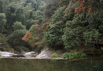 汪湖生态旅游区第 13 张图片