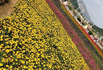 青岛西海岸生态观光园第 29 张图片