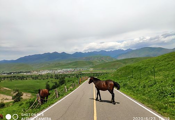 那拉提旅游风景区第 41 张图片
