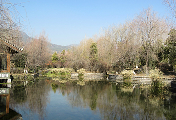 束河古镇第 109 张图片