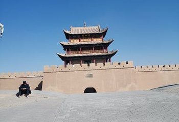 金塔胡杨林第 48 张图片