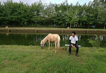 南宁乡村大世界第 17 张图片