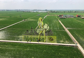 稻梦空间第 21 张图片