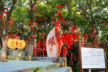 观音山旅游风景区第 272 张图片