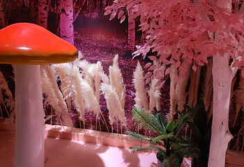 青年汇巅峰乐园第 96 张图片