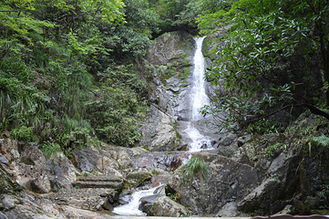 天目山自然保护区第 104 张图片