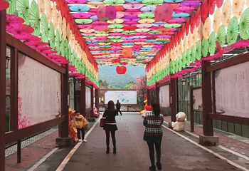 垫江牡丹樱花世界第 26 张图片