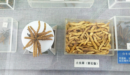 中医大学医药博物馆第 16 张图片