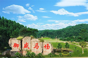 御盛国际马术庄园第 23 张图片