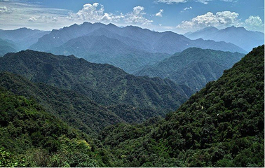 青华山卧佛寺景区第 34 张图片