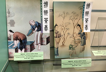 路氹历史馆第 8 张图片