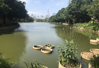 笔架山公园第 12 张图片